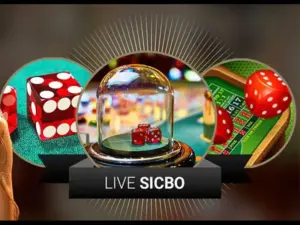 Live Sic Bo - Siêu Game Cá Cược Không Sợ Rủi Ro Tại Sunwin